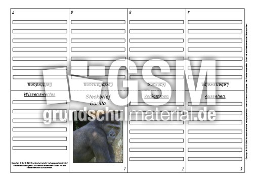 Faltbuch-Steckbrief-Gorilla-1.pdf